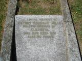 image of grave number 236841